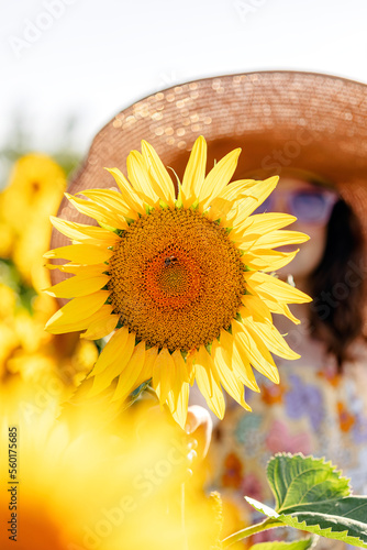 Teenage girl in hat and sunglasses having fun in the field of sunflowers