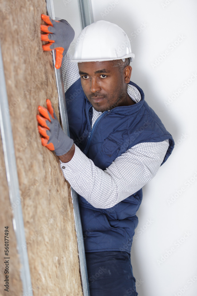 worker insulating the walls worker insulating the walls