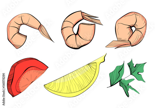 Set with vector shrimp, tomato, greens and lemon