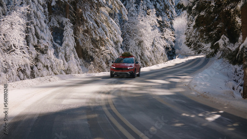Family driving home with a Christmas tree tied to a roof of a generic red car on a scenic forest road, trees covered with show © supamotion