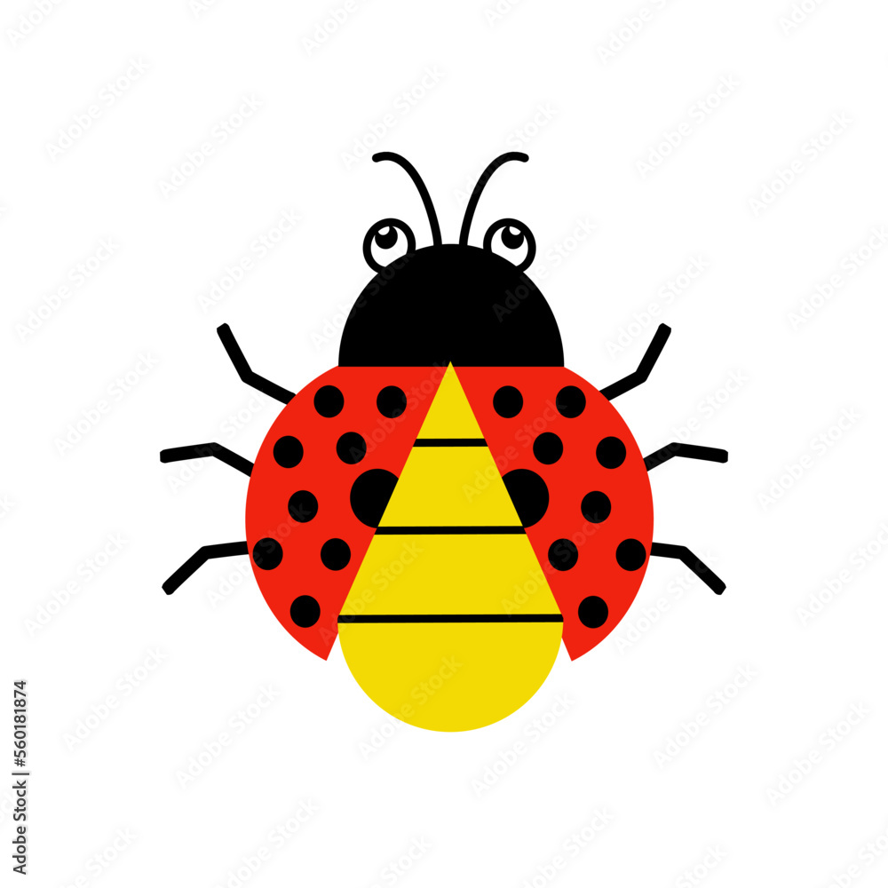 Ladybug isolated on white background. Ladybug isolated on white background.