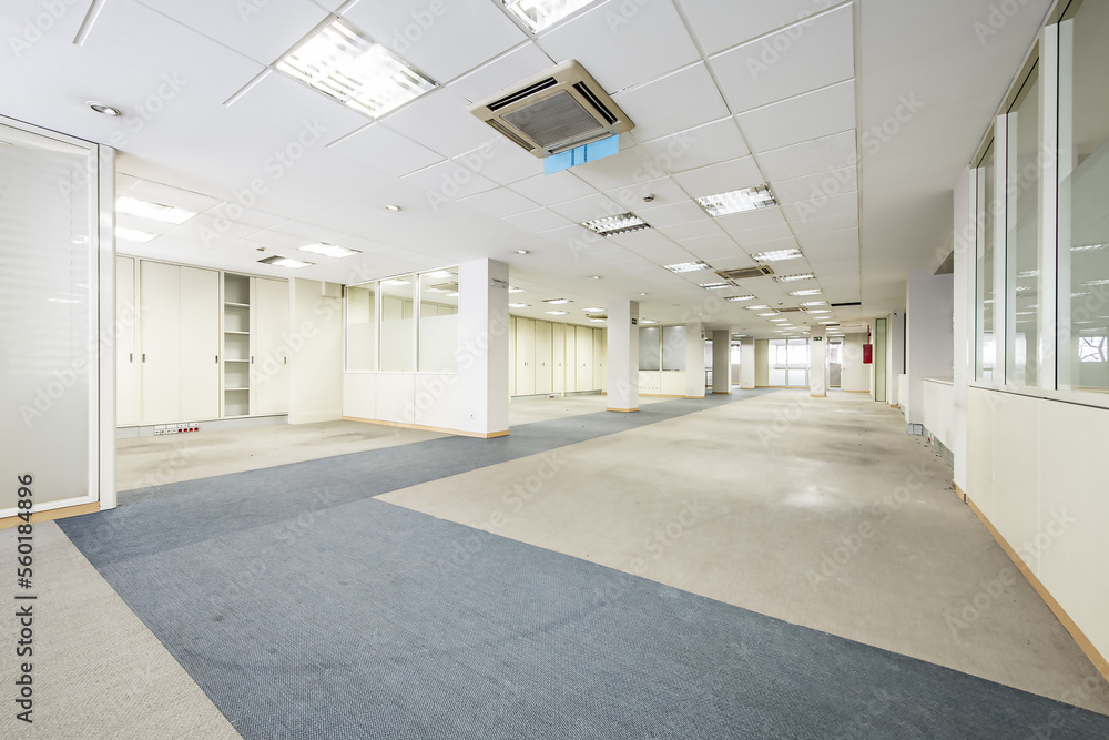An empty office with two-tone carpeted floors, a space with partitions and filing cabinets along the length and technical ceilings