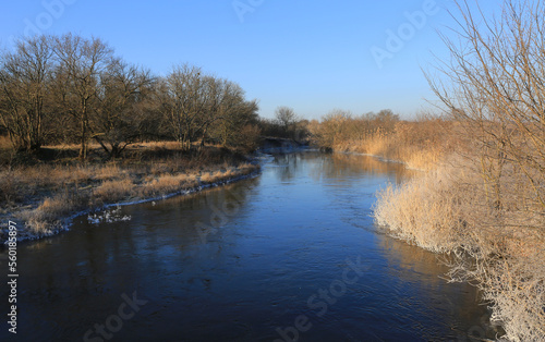 river in forest