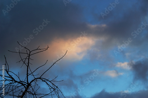 dark clouds over the bare tree branches in cold winter evening sky