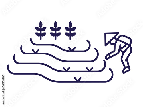 Asian Peasant Working on Rice Terrace Field