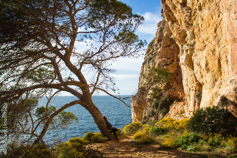 man leaning against a tree rests in the evening light in Ibiza man leaning against a tree rests in the evening light in Ibiza