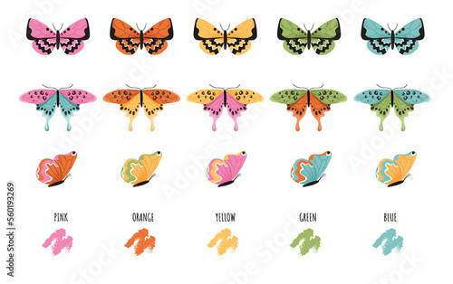 Colorful butterflies set. Collection of graphic elements for website. Aesthetics and elegance, springtime and colorful insects. Cartoon flat vector illustrations isolated on white background