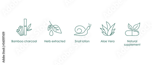 bamboo charcoal, herb extracted, snail lotion, aloe vera, natural supplement icon vector illustration 