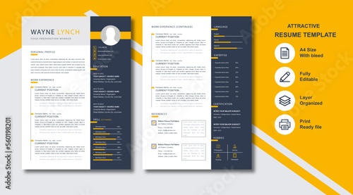 colorful resume template