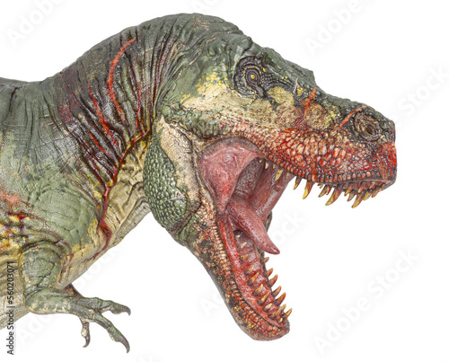 t-rex on blood id profile portrait in white background © DM7