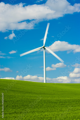 A single wind turbines slowly turning rises above green farming fields with blue sky and puffy clouds.