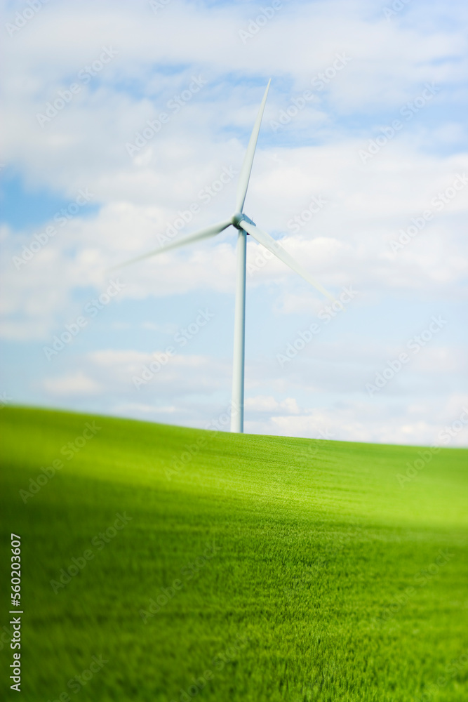 a wind turbines on green hills of farming fields with blue sky and puffy clouds. a wind turbines on green hills of farming fields with blue sky and puffy clouds.
