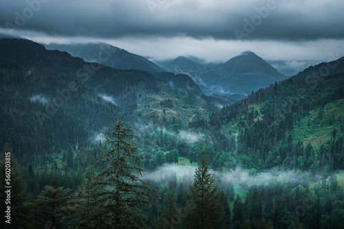 Fototapeta Naklejka Na Ścianę i Meble -  Breathtaking views over the valley of impressive Tatra mountains in misty weather. National park in Zakopane, Poland.
