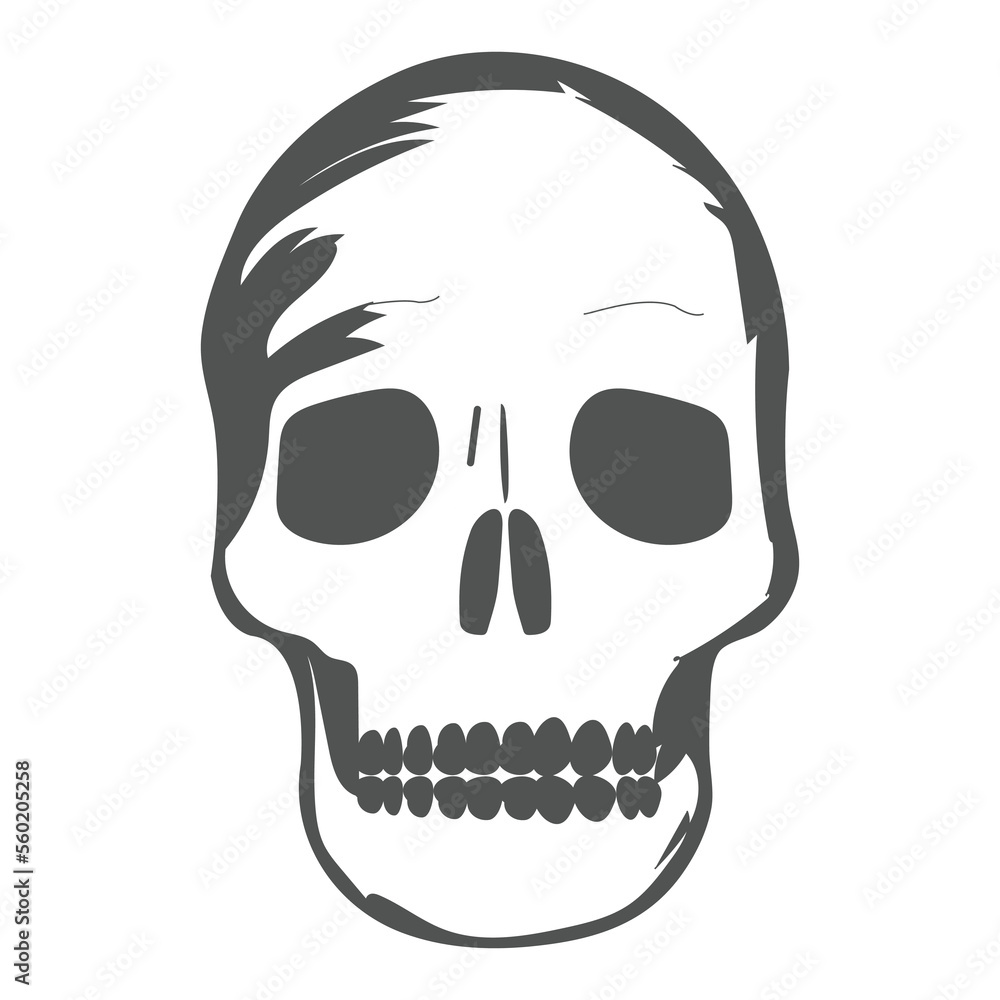 Black and white human skull vector illustration Black and white human skull vector illustration