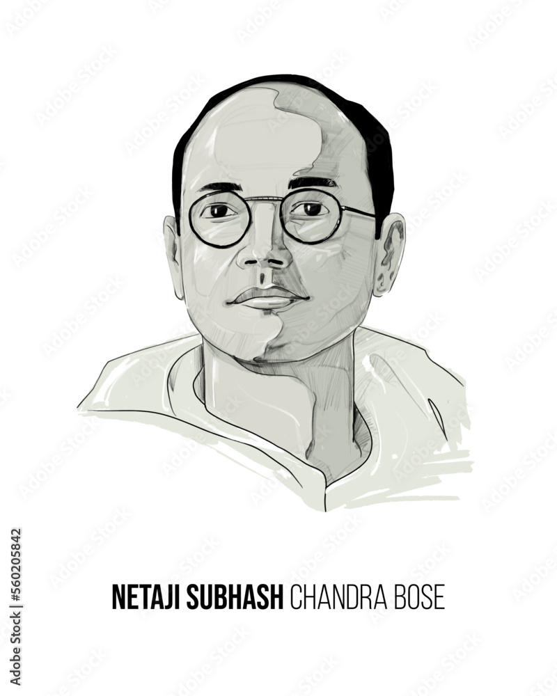 Aetreo - Sketch - Netaji - Bose - Framed Canvas Print 16x19 inches - Ready  to Hang Wall Art : Amazon.in: Home & Kitchen