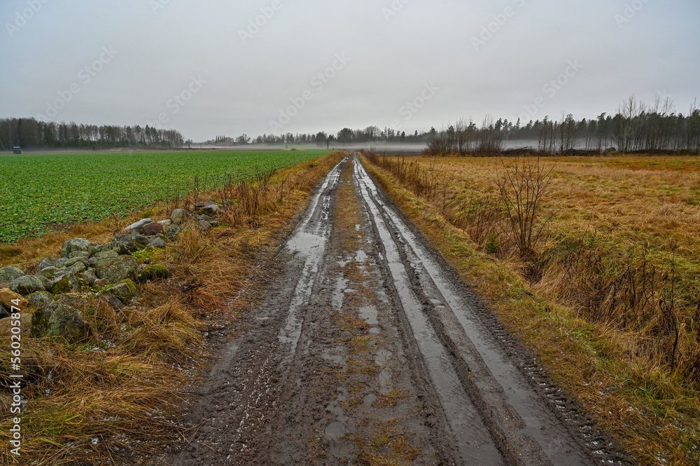 puddles of water on gravel road over fields