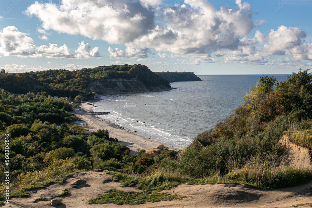 View of the Baltic Sea coast from a high cliff. Sandy beach and green forest are below. Steep cliffs with trees and grass. Autumn begins, yellow foliage is visible. The place is called Filinskaya Bay.