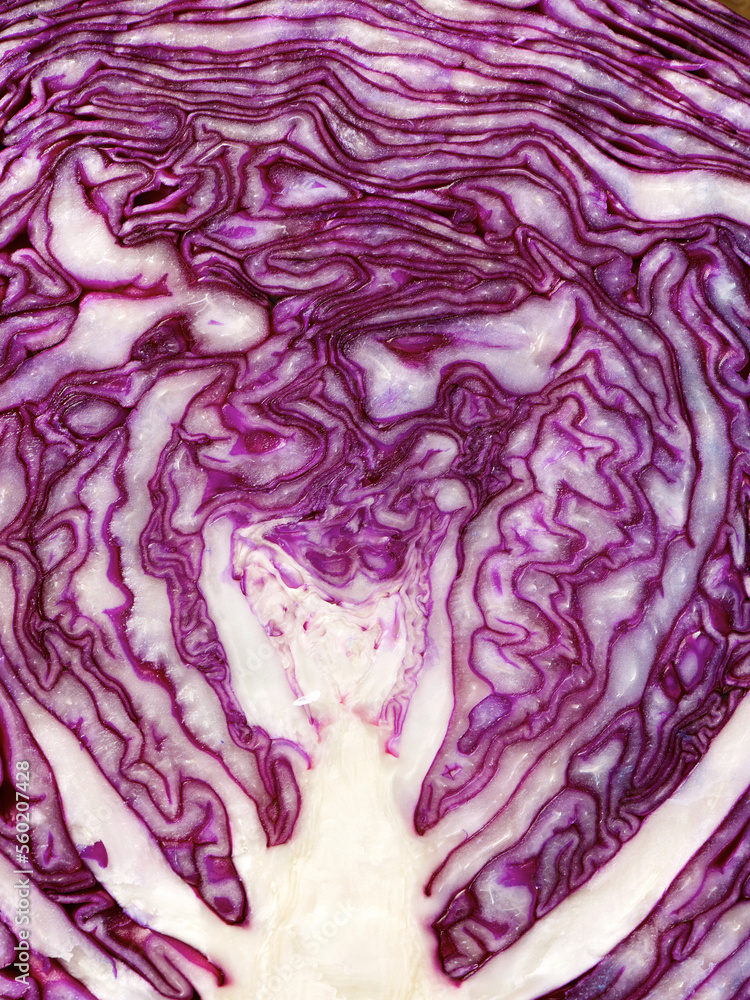 Obraz premium Red cabbage close up