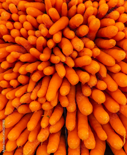 carrots at the market