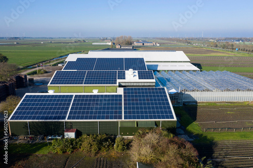 Flower bulb company with solar panels in a row on a roof. Photo taken with a drone.
Photovoltaic modules for renewable energy.Save the earth and the energy with good environment concept.