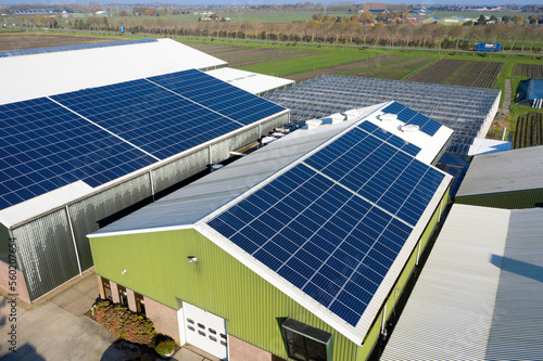 Flower bulb company with solar panels in a row on a roof. Photo taken with a drone.
Photovoltaic modules for renewable energy.Save the earth and the energy with good environment concept.