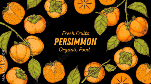 Persimmon fruit hand drawn design. Vector illustration. Design, package, brochure illustration. Persimmon fruit frame illustration. Design elements for packaging design and other.