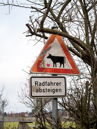 Radfahrer absteigen - Vorsicht Kuh photo