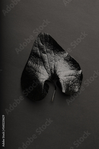Black leaves texture pattern on black background. Black monochrome creative creative wallpaper. Texture for text and design. © oceanrider