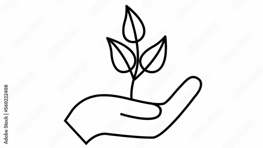 Linear ecology icon. Tree sprout in hand. The black symbol is drawn gradualaty. Looped video. Concept of ecology care, saving the nature, harvest. Vector illustration isolated on white background. Linear ecology icon. Tree sprout in hand. The black symbol is drawn gradualaty. Looped video. Concept of ecology care, saving the nature, harvest. Vector illustration isolated on white background.