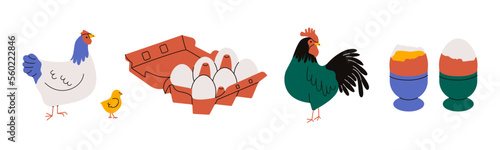 Chicken with eggs. Cartoon hen rooster box boiled eggs, farm poultry characters, eco Easter organic concept. Vector set