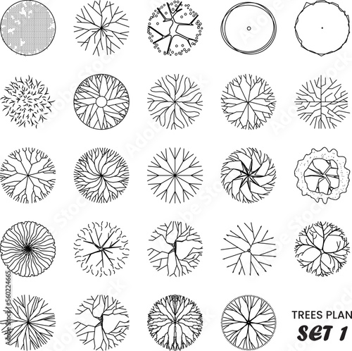 Architectural Drawing Trees Plan Set 1