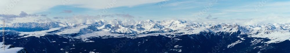 snow covered grass