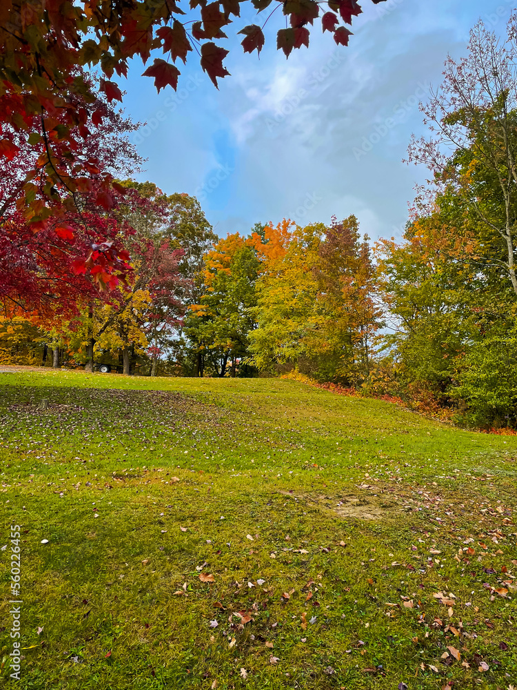 autumn in the park autumn in the park