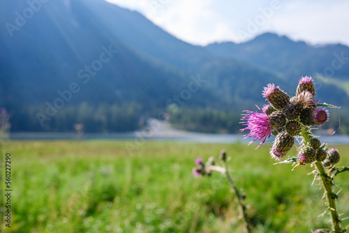 Lago di dobbiaco