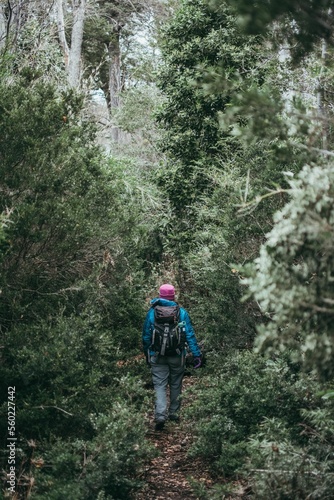 hiker in the woods © Fevaspe