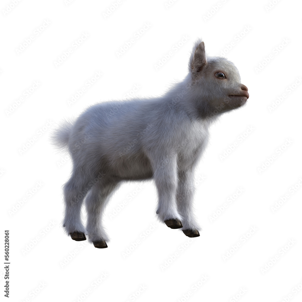 Obraz premium Goat baby character on transparent background. 3d rendering illustration for collage, clipart, composting.