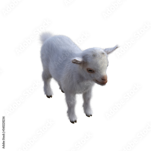 Goat baby character on transparent background. 3d rendering illustration for collage, clipart, composting.
