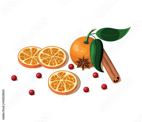 Dried orange slices, cinnamon stick, anise star and orange on white background