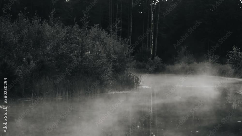 A very atmospheric fog is spreading over the water, which creates a mystical tension A very atmospheric fog is spreading over the water, which creates a mystical tension