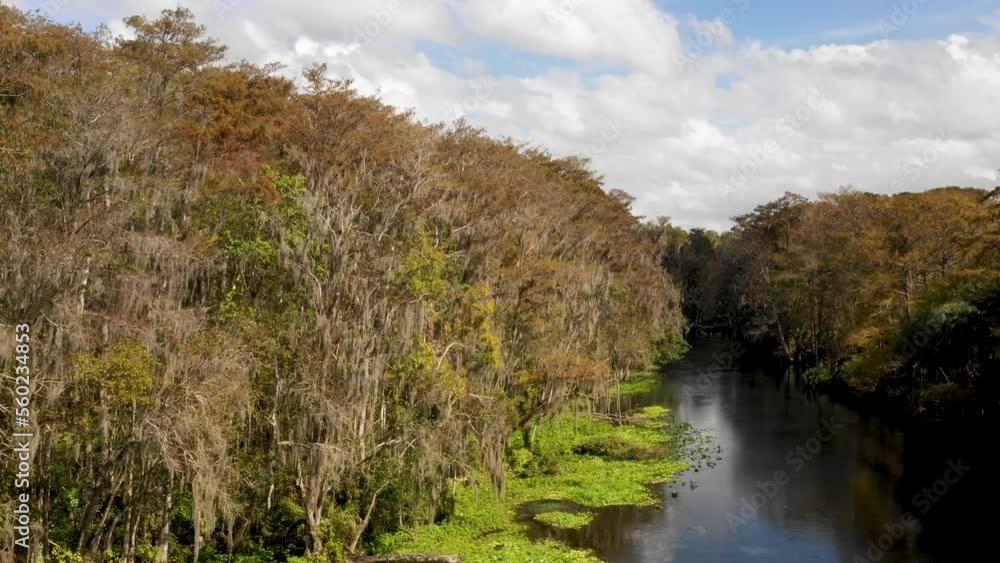 Aerial flight over remote Florida rivers Aerial flight over remote Florida rivers
