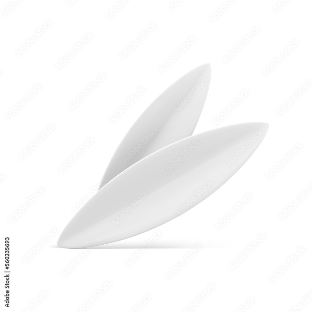 White leaves two natural organic ecology plant elegant decor element 3d icon realistic vector illustration. Leaf foliage bio botanical decoration flora design spring summer tree garden environment White leaves two natural organic ecology plant elegant decor element 3d icon realistic vector illustration. Leaf foliage bio botanical decoration flora design spring summer tree garden environment