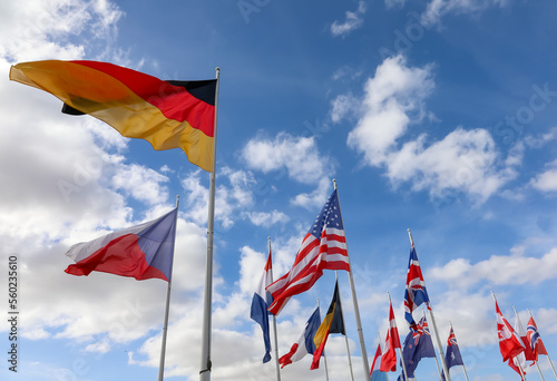 flags of countries waving during the international meeting