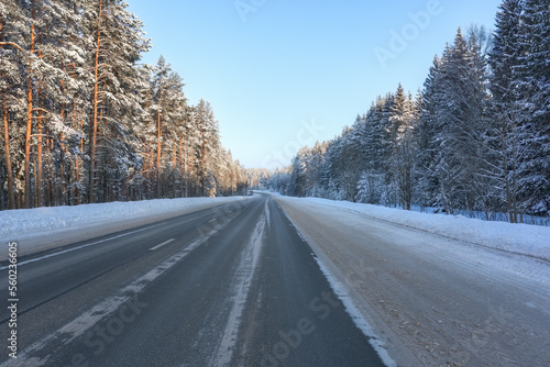 View of the asphalt road with a drowsy forest along the roadsides. Road cleared of snow and ice. Fairytale pine forest flooded with sun in winter. © Lexis_Jan