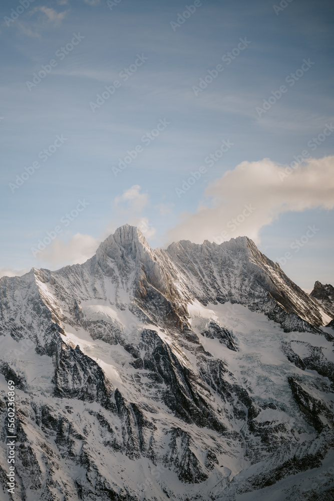 snow covered mountains