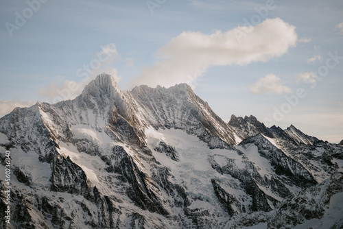 snow covered mountains