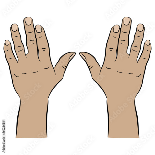 Two raised up male hands with open fingers. Surrender gesture. Cartoon style. 
