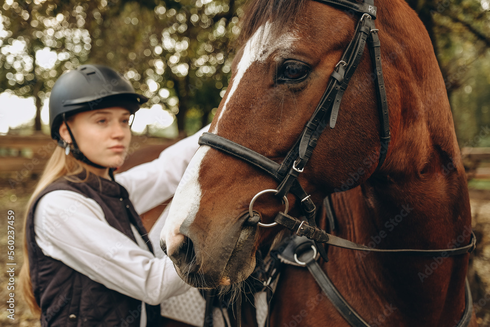 A young woman jockey adjusts the harness on her horse before training. A young woman jockey adjusts the harness on her horse before training.