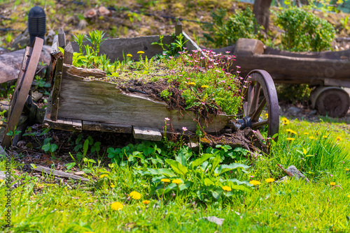 Fototapeta Naklejka Na Ścianę i Meble -  zniszczony wóz z kwiatami w ogrodzie