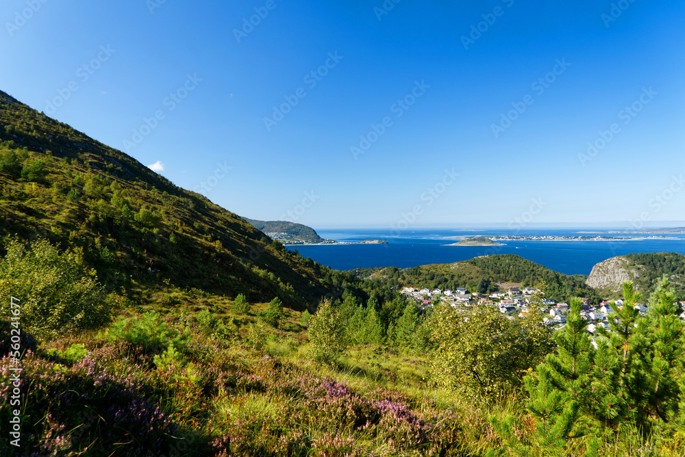 Blick auf Fjordlandschaft vom Berg Sukkertoppen bei Alesund in Norwegen