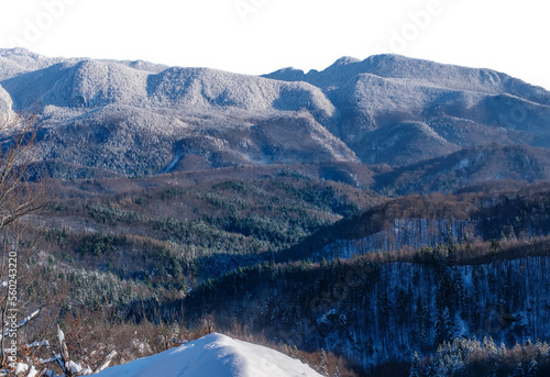 Panoramic view of beautiful winter wonderland mountain scenery with leafless snow capped trees and high Alpine mountains on background. Mountains in winter isolated on white, clipping path included